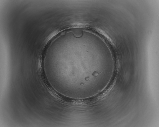 X0000113571259200909181240
