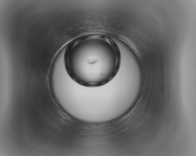 X0000113571260200909181240