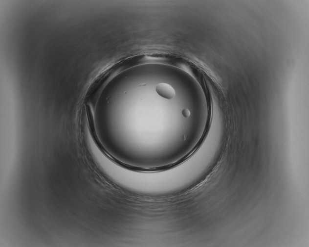 X0000113571261200909181240