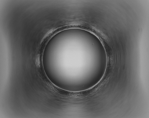 X0000113571262200909181240