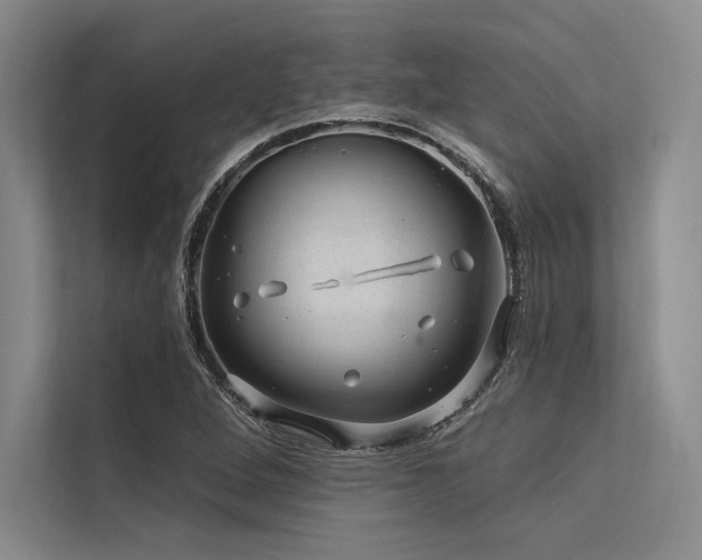 X0000113571264200909181240
