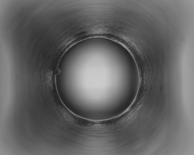 X0000113571265200909181240