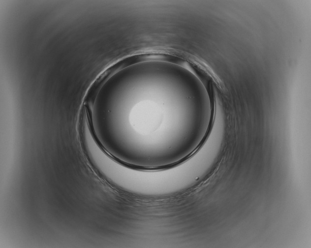 X0000113571268200909181240