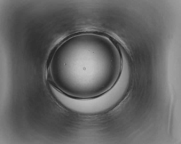 X0000113571269200909181240