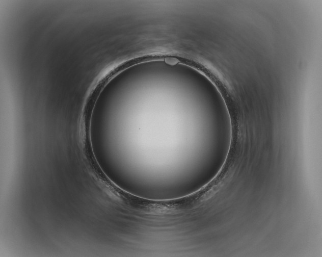 X0000113571270200909181240