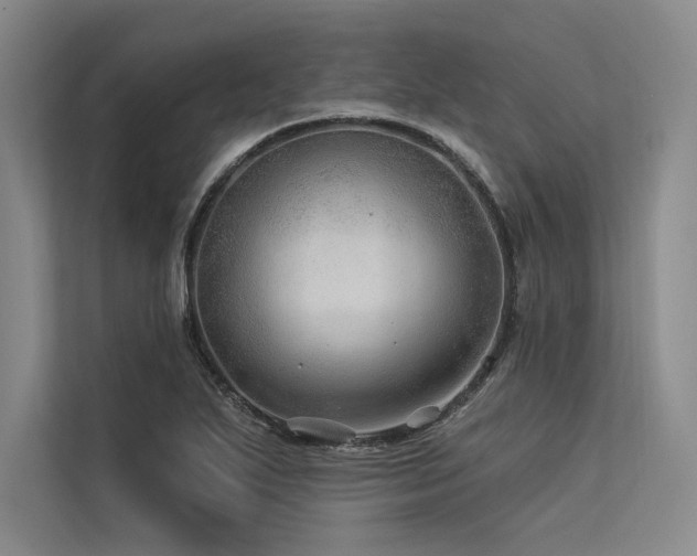X0000113571271200909181240