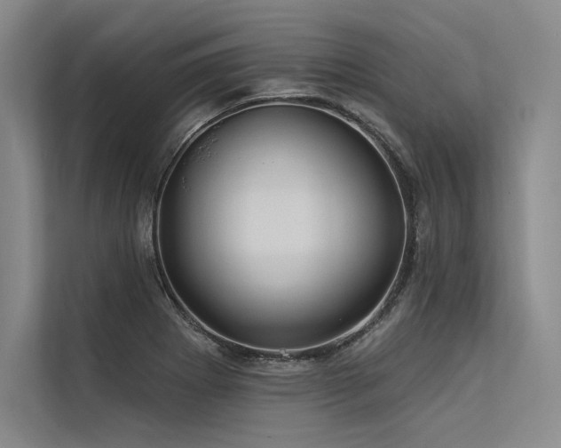 X0000113571273200909181240