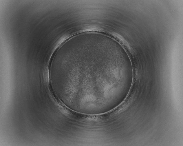 X0000113571274200909181240