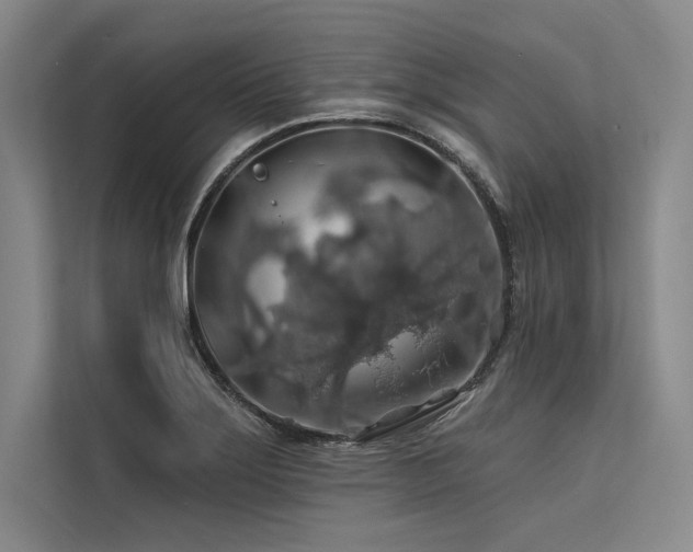 X0000113571275200909181240