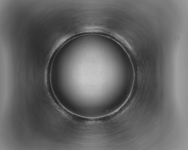X0000113571277200909181240