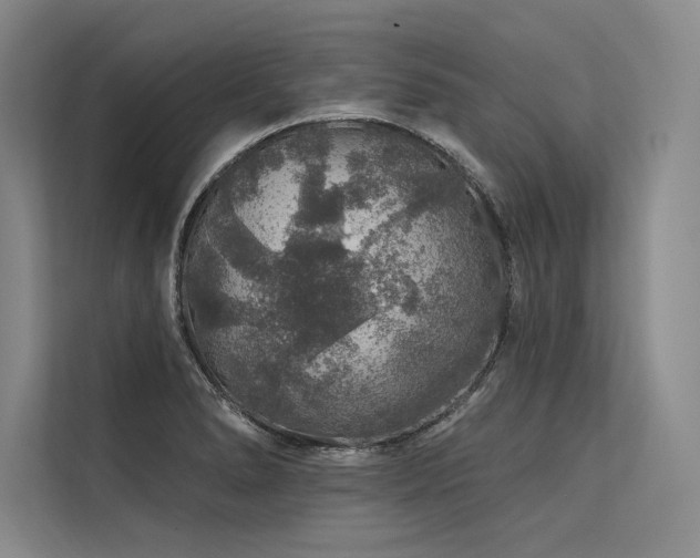 X0000113571278200909181240