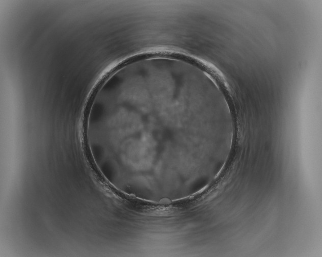 X0000113571279200909181240