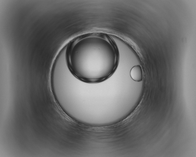 X0000113571280200909181240
