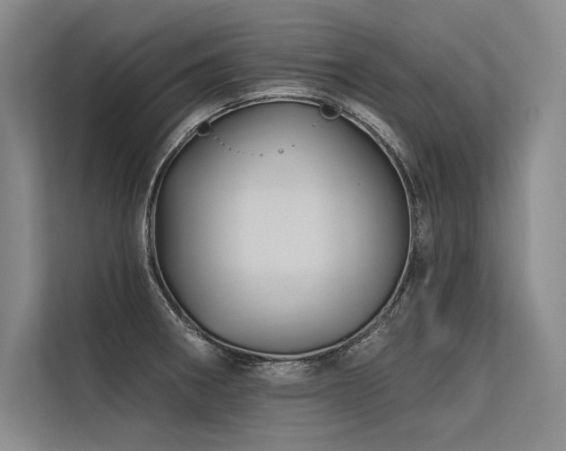X0000113571282200909181240