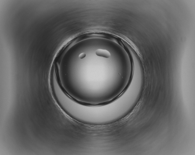 X0000113571285200909181240