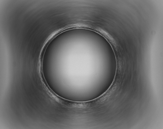 X0000113571286200909181240