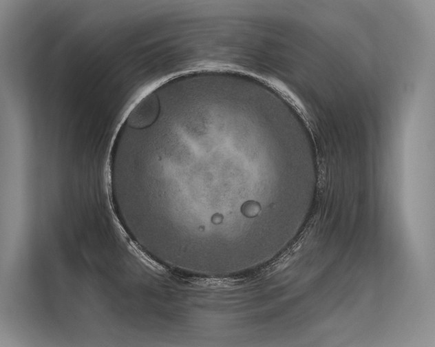 X0000113571287200909181240