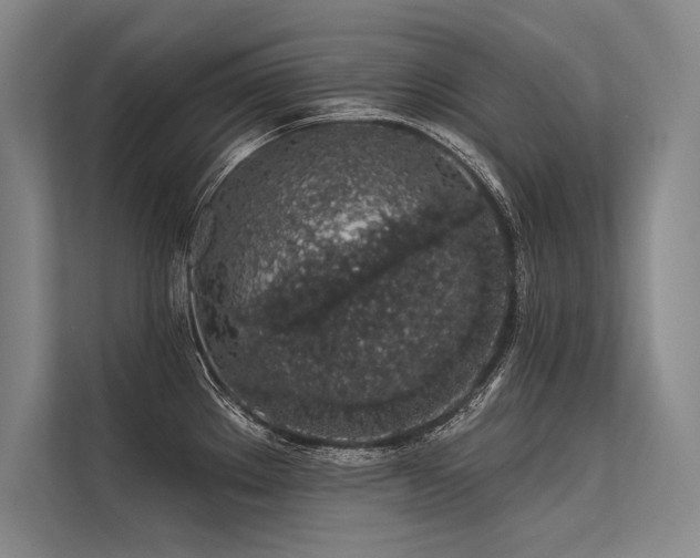 X0000113571289200909181240
