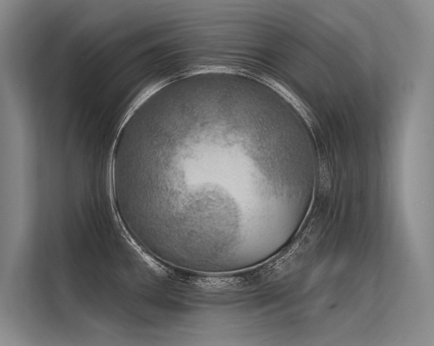 X0000113571290200909181240