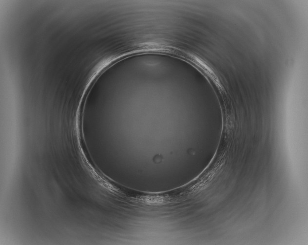X0000113571291200909181240