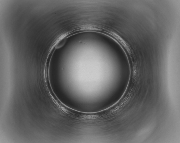 X0000113571293200909181240