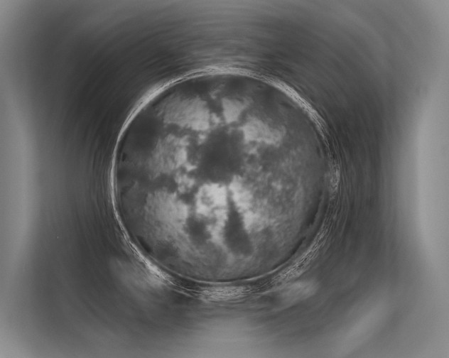 X0000113571294200909181239