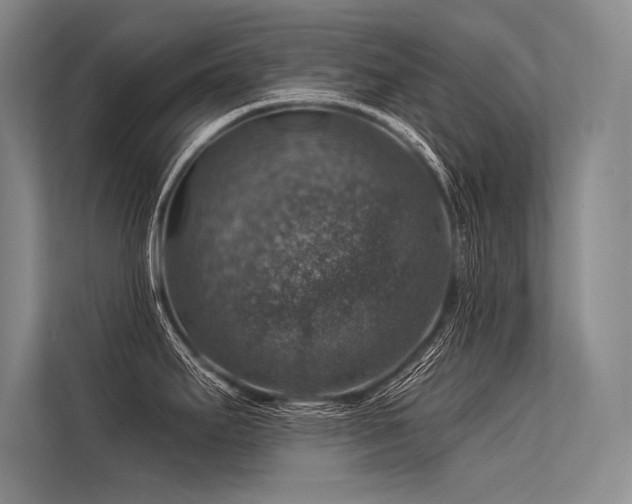 X0000113571295200909181239