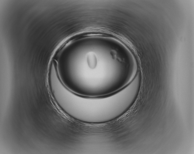 X0000113571296200909181239