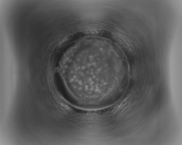 X0000113571297200909181239