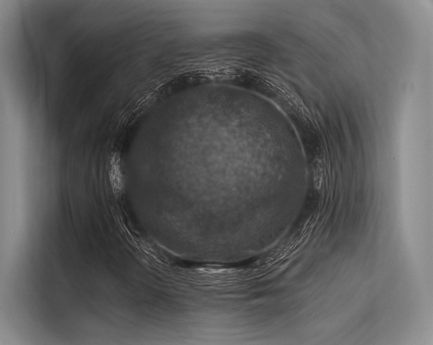 X0000113571298200909181239