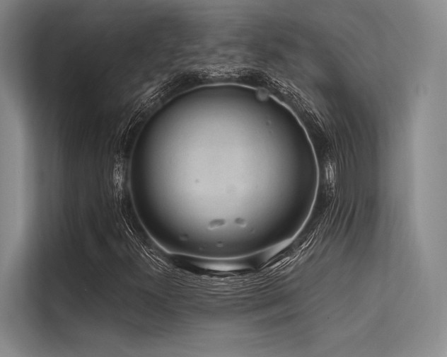 X0000113571300200909181239