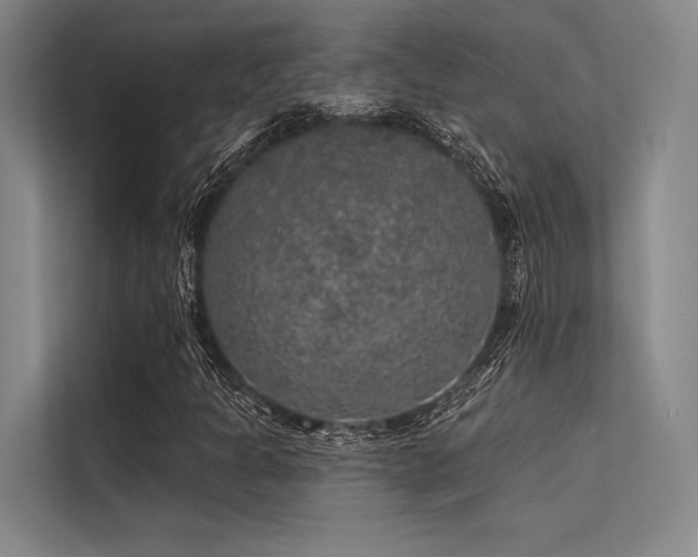 X0000113571301200909181239