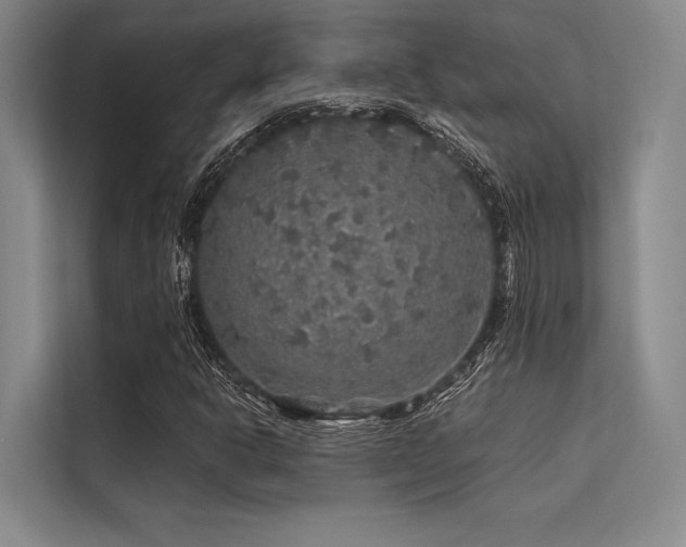 X0000113571302200909181239