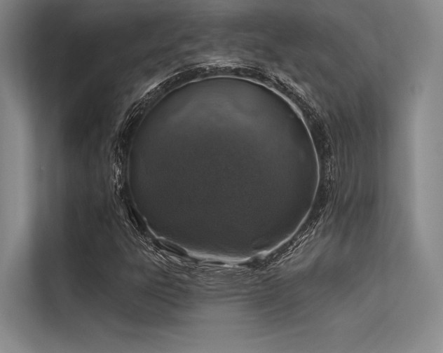 X0000113571303200909181239