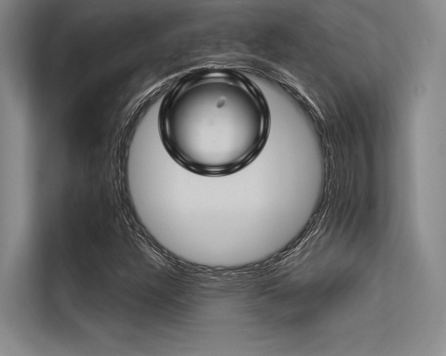 X0000113571304200909181239