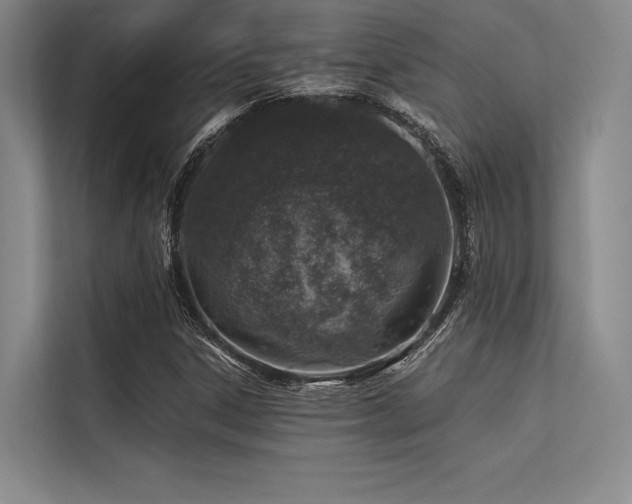 X0000113571306200909181239