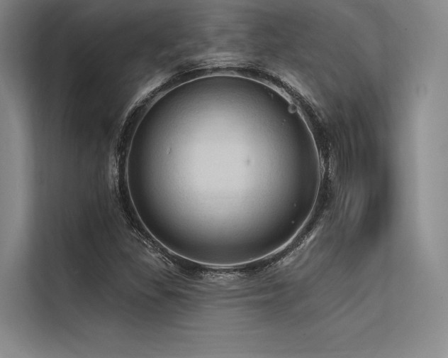 X0000113571309200909181239