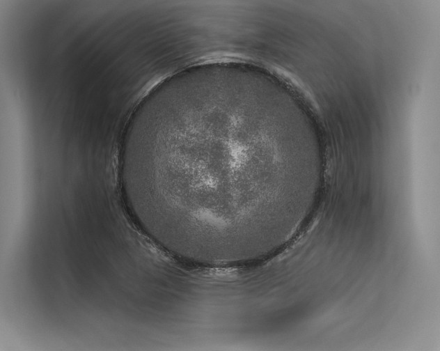 X0000113571313200909181239