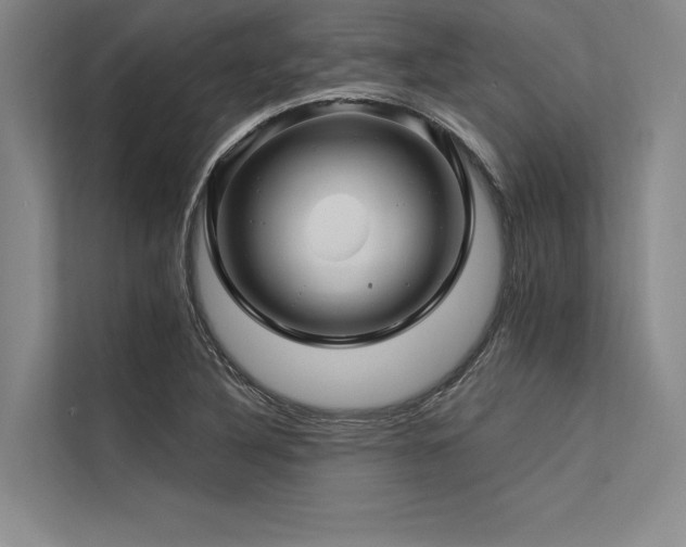 X0000113571316200909181239