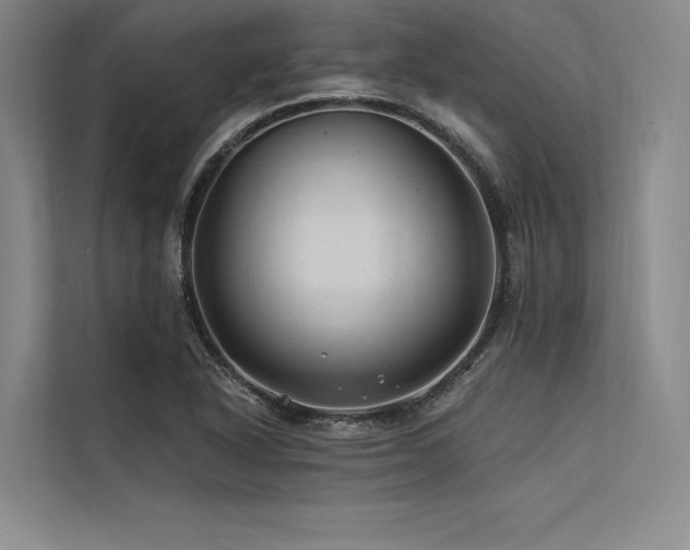 X0000113571318200909181239