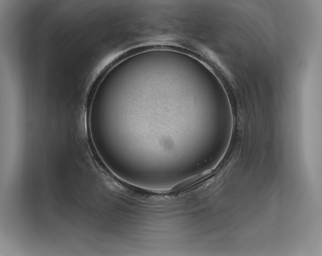 X0000113571320200909181239