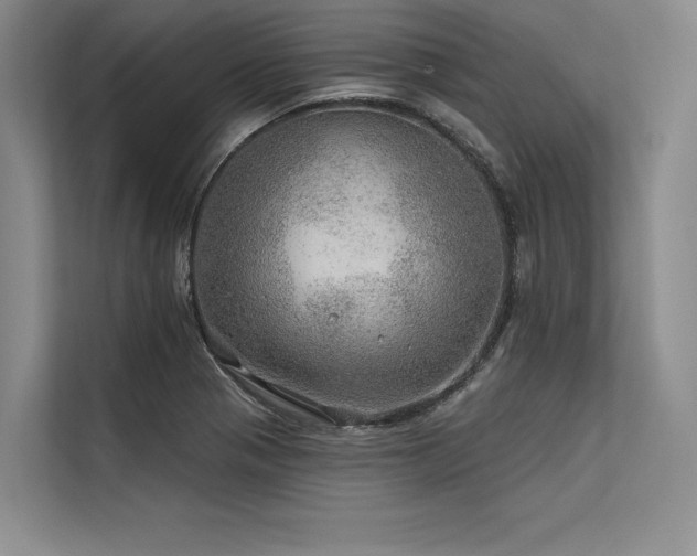 X0000113571321200909181239