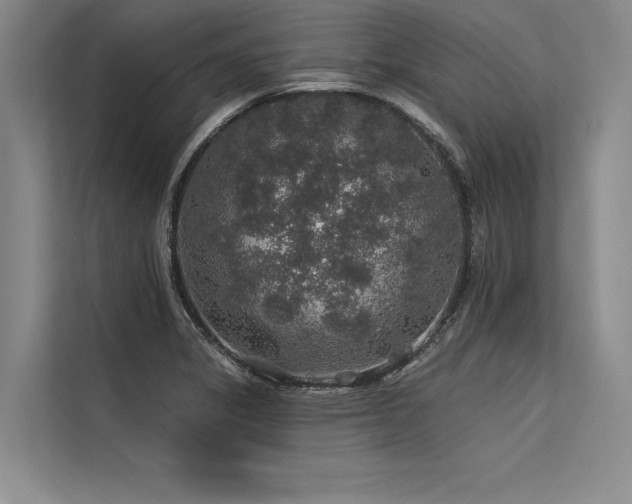 X0000113571325200909181239