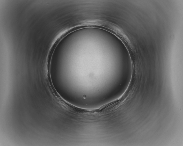 X0000113571328200909181239