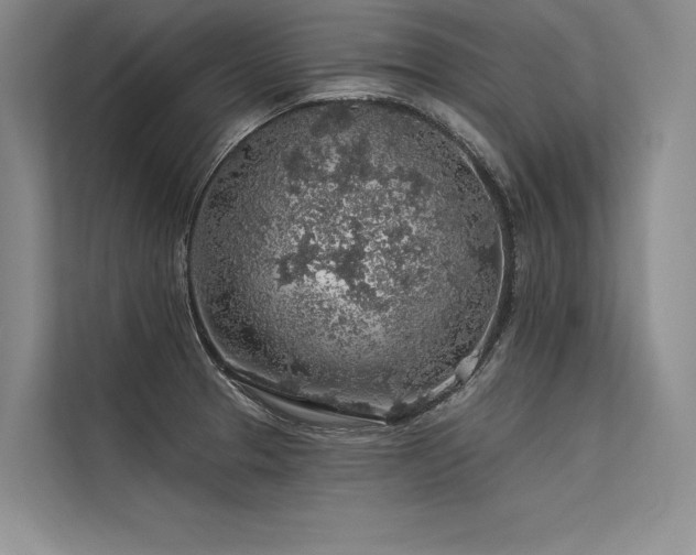 X0000113571329200909181239