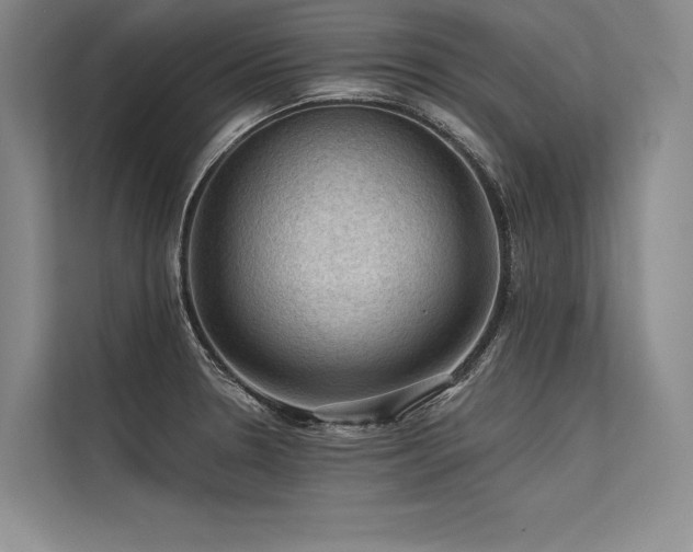 X0000113571330200909181239