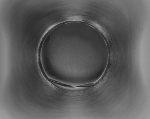 X0000113571331200909181239