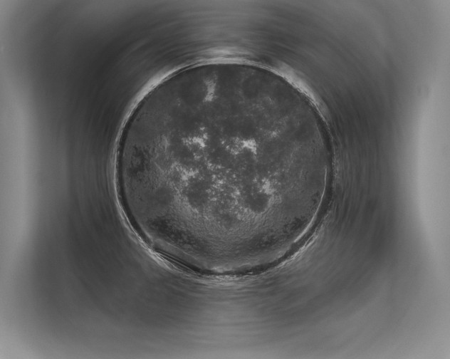 X0000113571333200909181239