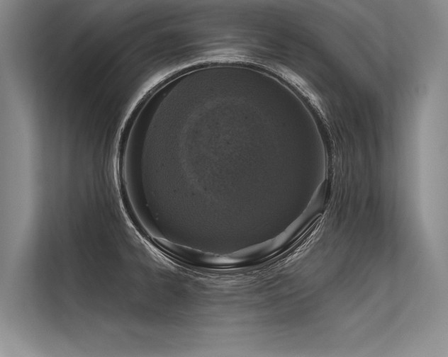X0000113571334200909181239