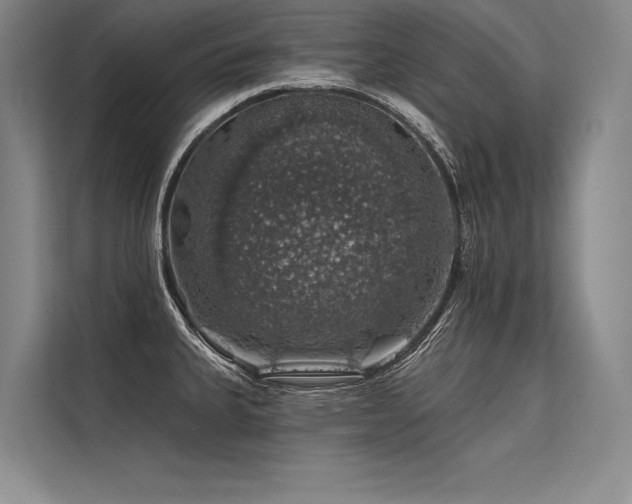 X0000113571335200909181239
